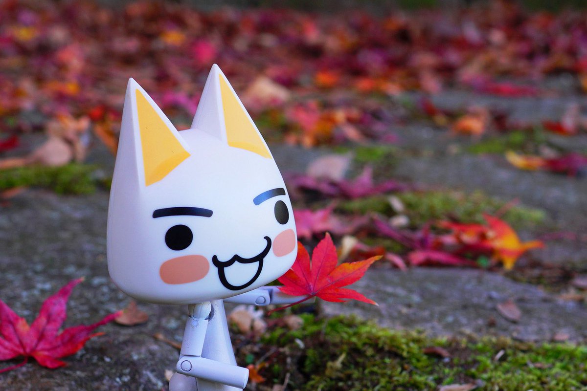 じゅんじゅん (@kagajun0321) / Posts / X