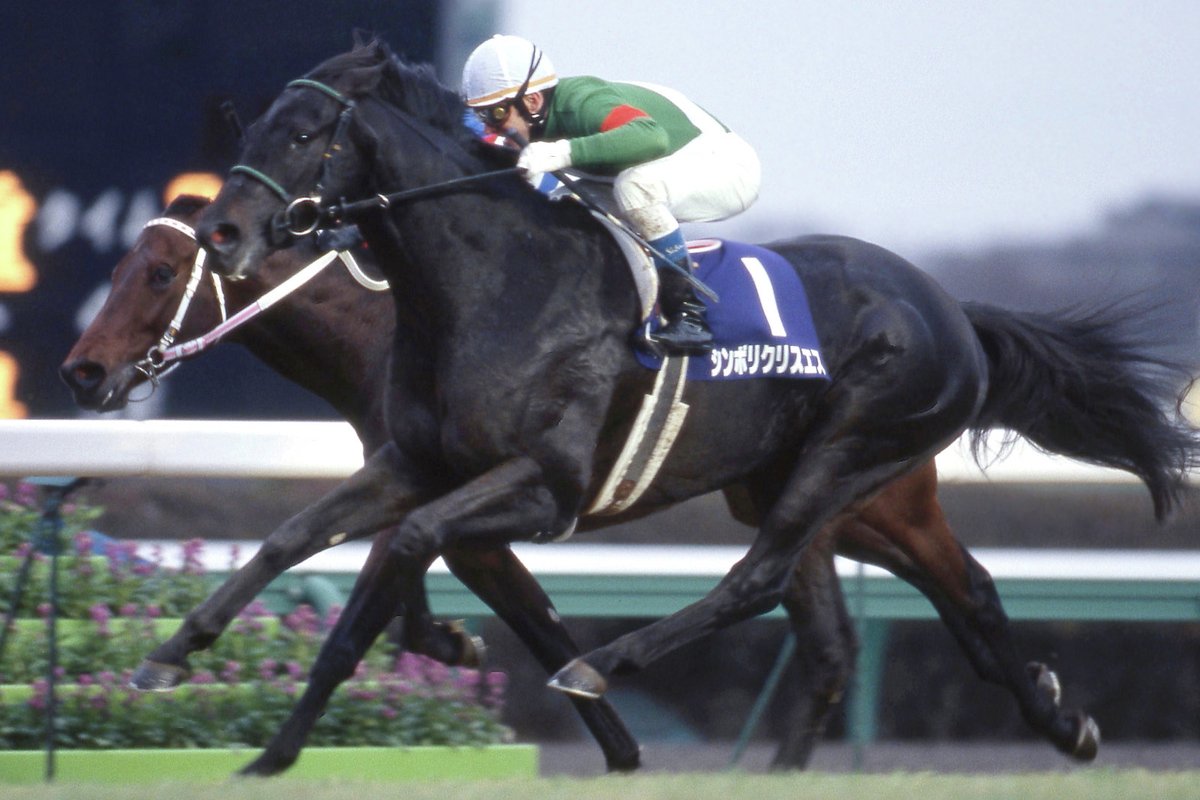 12月8日で #シンボリクリスエス の没後5年になります。現役時代には3歳