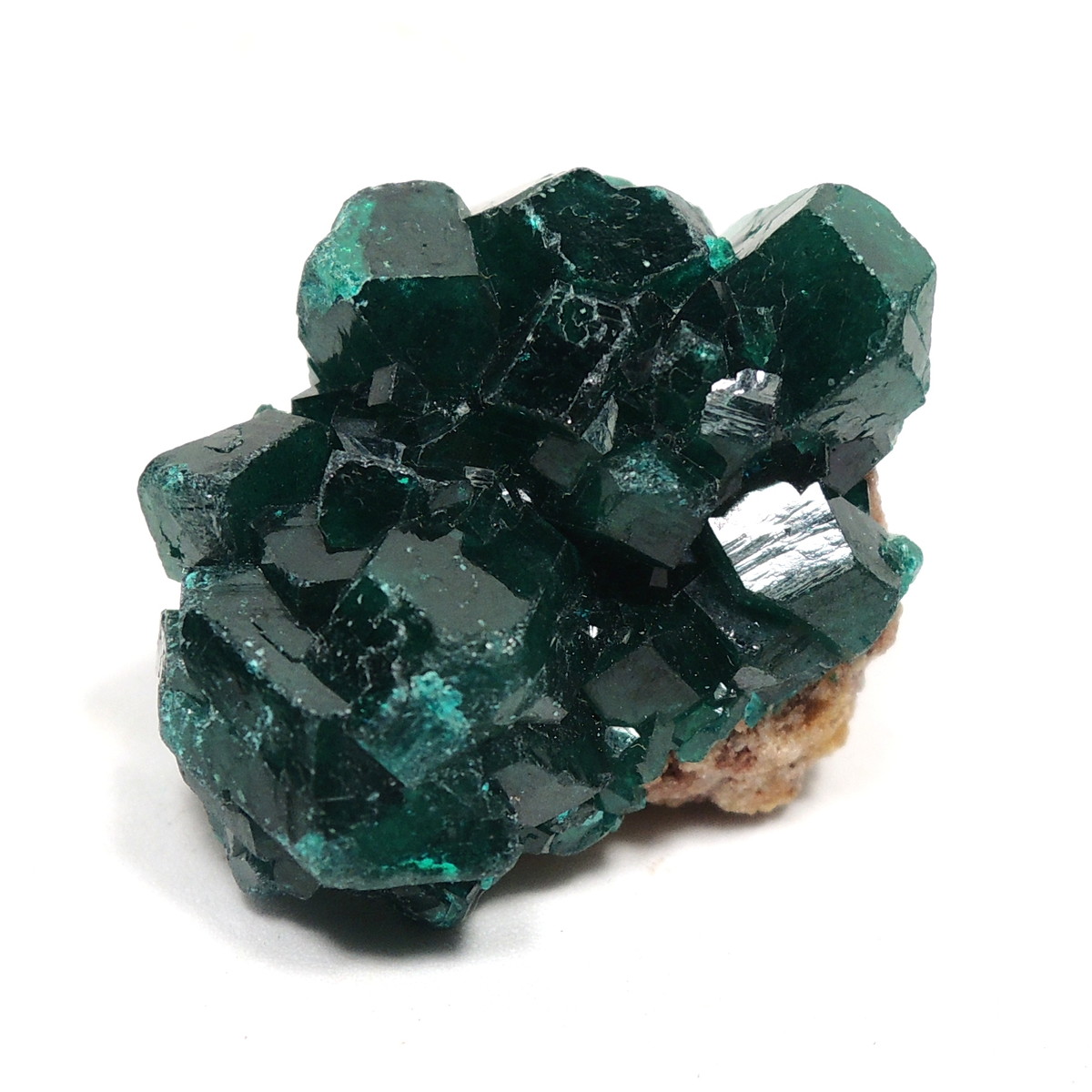 482 ダイオプテーズ 翠銅鉱 クラスター コンゴ産 482 ダイオプテーズ