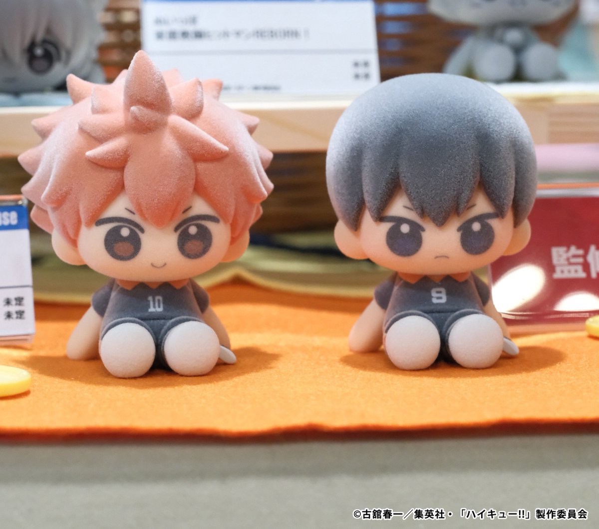 彩色原型初公開！ ぬいっぽ ハイキュー!! #ジャンプフェスタ