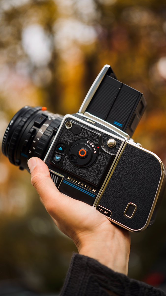 203FEとCFV 100Cの組み合わせが、時間の流れを静かに留め、シャッター