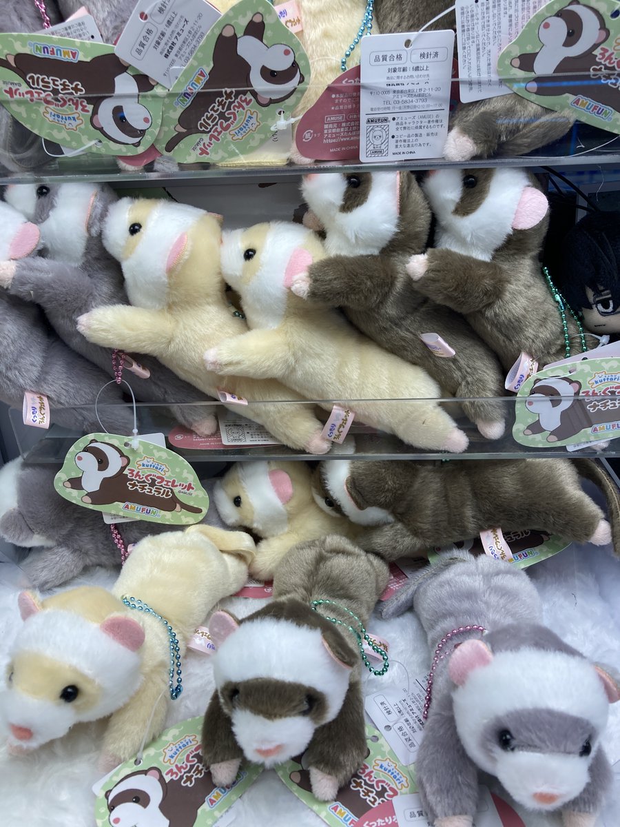 景品入荷情報】 本日「くったりろんぐフェレットナチュラルLMC
