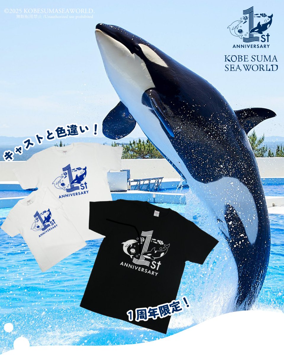 神戸須磨シーワールド1周年限定「Tシャツ」は、キャストが着用している
