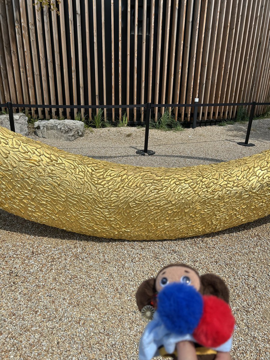 7/1万博レポ❤️4…アイルランド館 パビリオンの外にある印象的な輪の