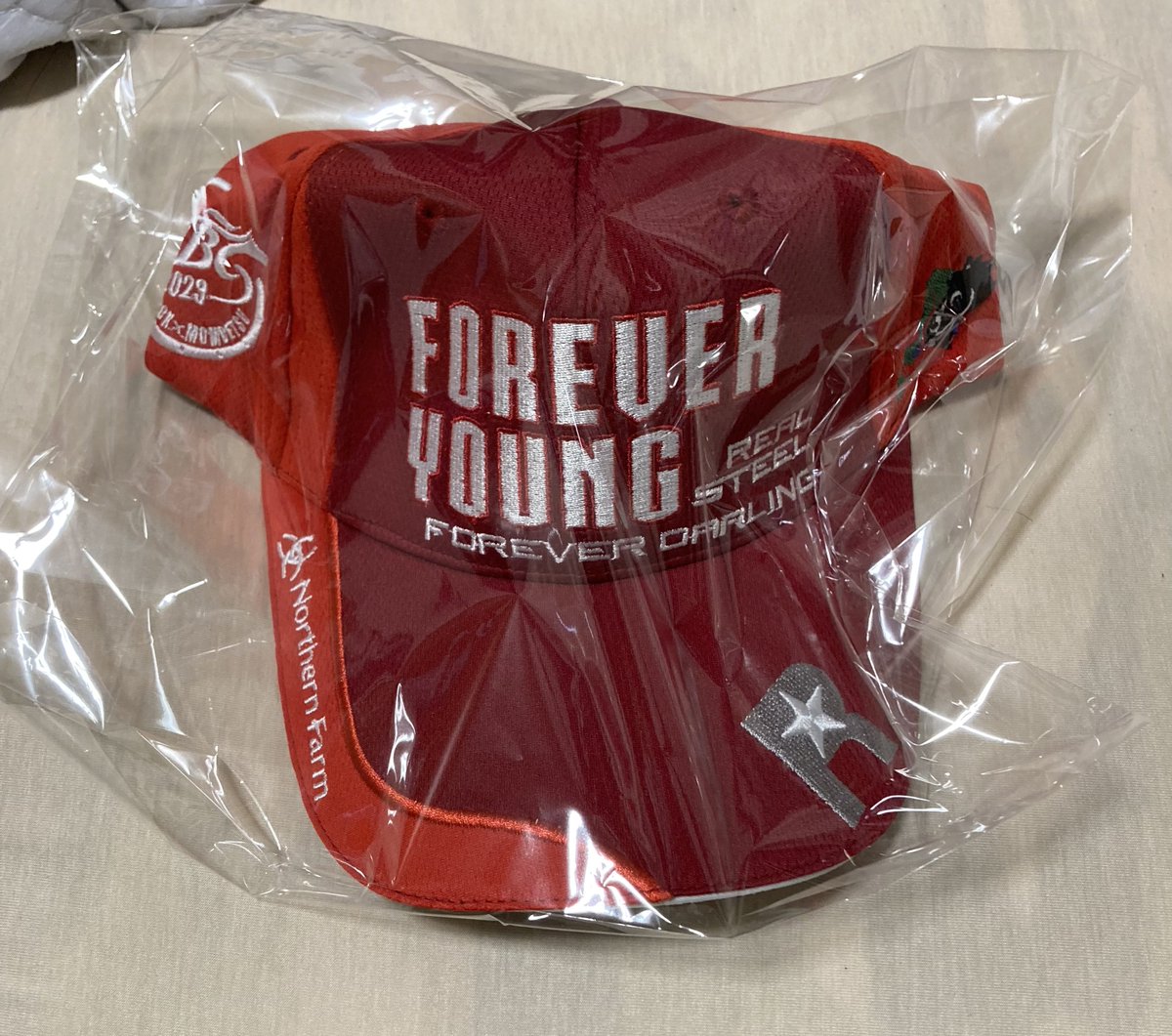 藤田晋オーナー様から フォーエバーヤングのキャップ (JBC2歳優駿優勝