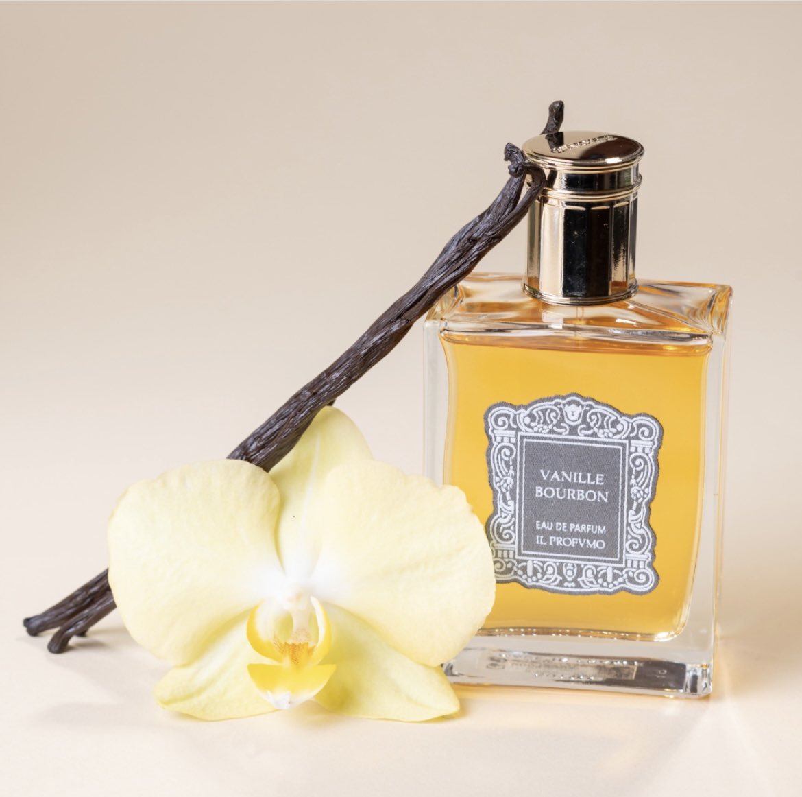 IL PROFVMO JAPAN (@il_profvmo_jp) / Posts / X