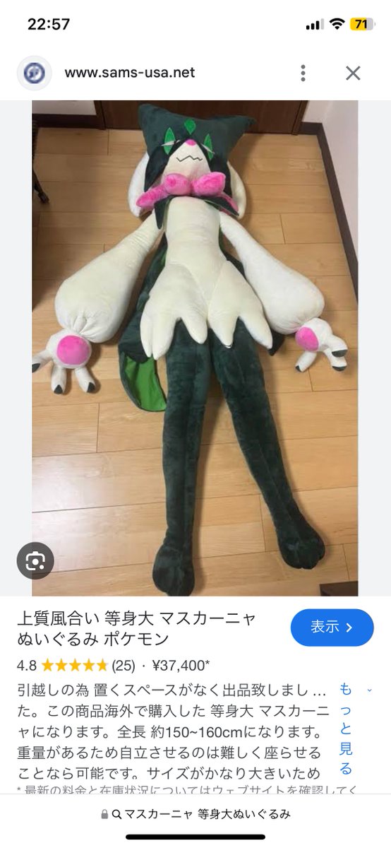 なんか偽物だけど等身大のマスカーニャぬいぐるみ売ってるんだけど