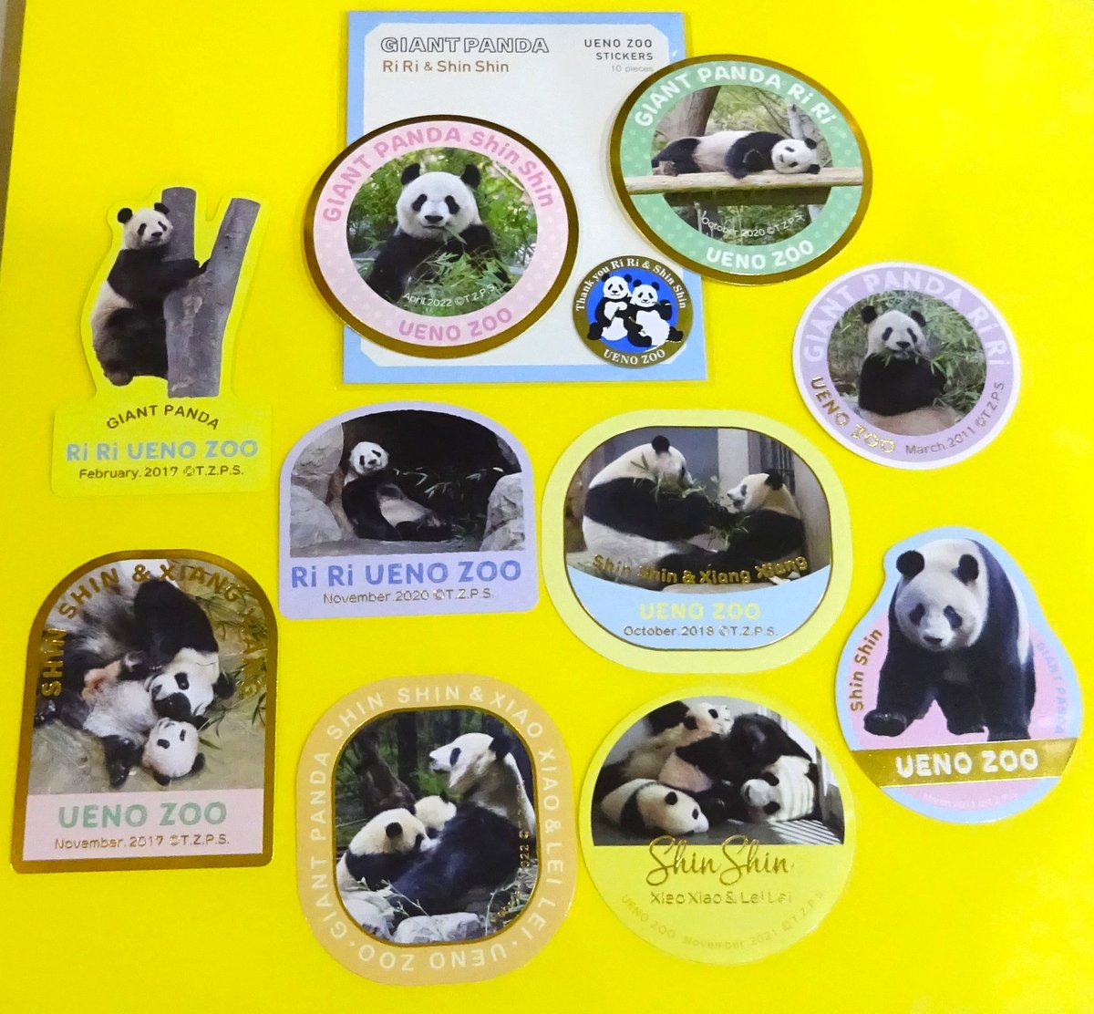 園内ギフトショップより】 ／ ジャイアントパンダ 🐼リーリー&シンシン