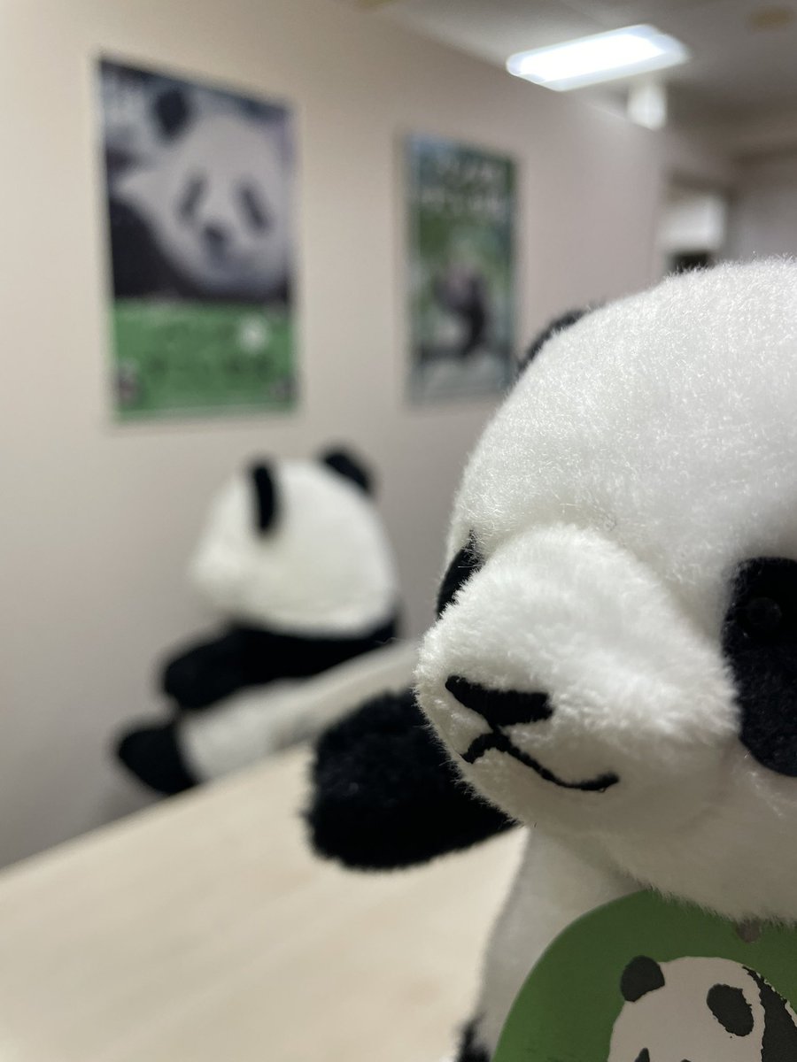 公式】吉徳のぬいぐるみ (@yoshitoku_plush) / Posts / X