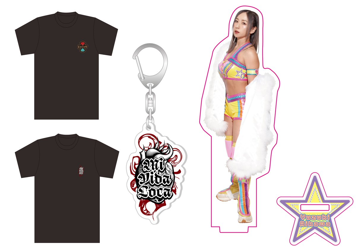 🆕新商品情報🆕 1月21日（水）『スターダム旗揚げ15周年記念シリーズ