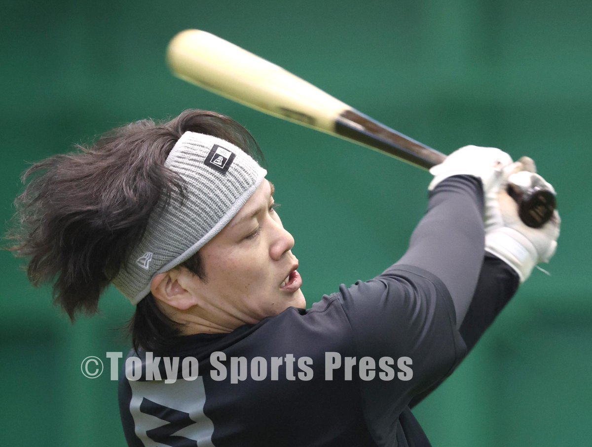 プロ野球】2026年1月23日 阪神・自主トレ #伏見寅威 #タイガース