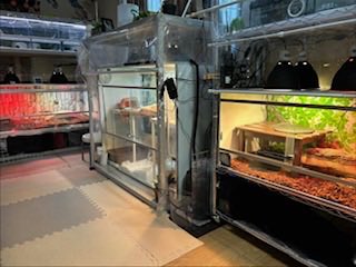 龍匠オリジナルオーダーケージ®︎ (@ryuushyou164) / Posts / X