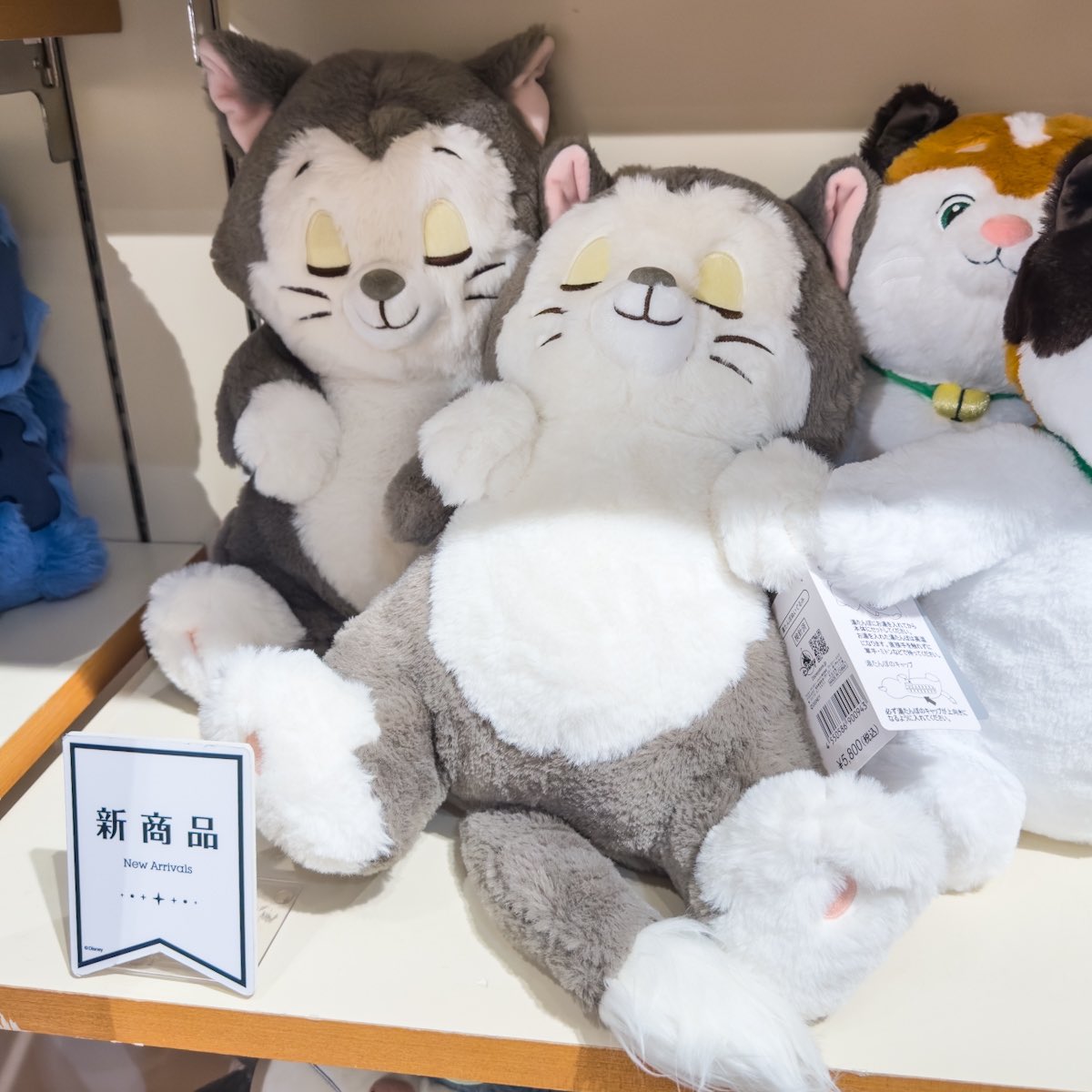 GaN82MtaEAAKecu.jpg?format=jpg