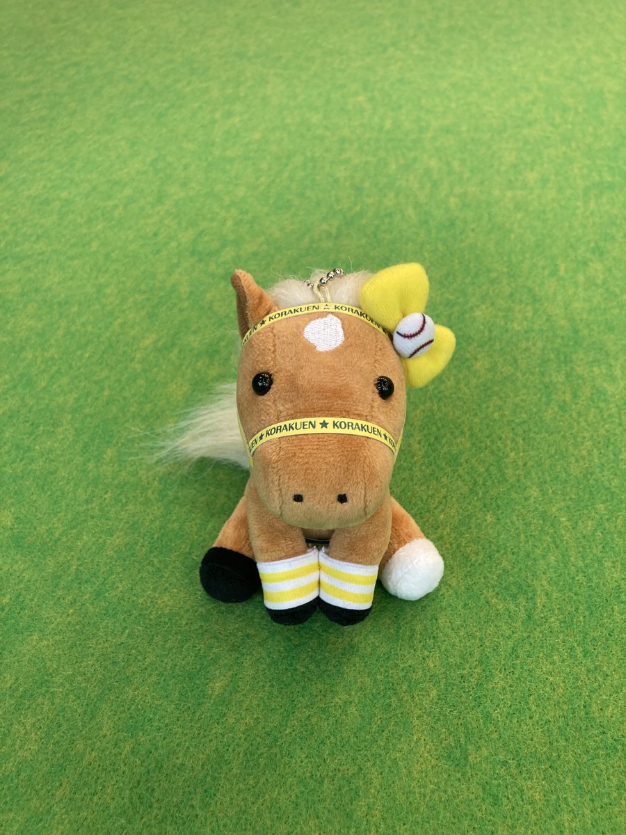 この度、ウインズ後楽園オリジナルアイドルホースが「Sサイズの