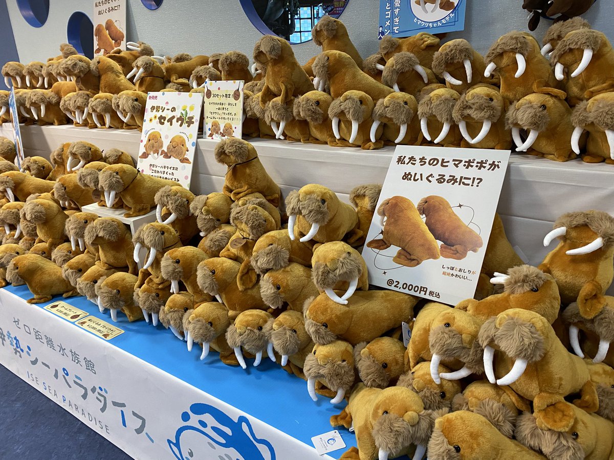 お知らせ📢】 みなさーん！遂に‼️遂に‼️ シーパラ完全オリジナル