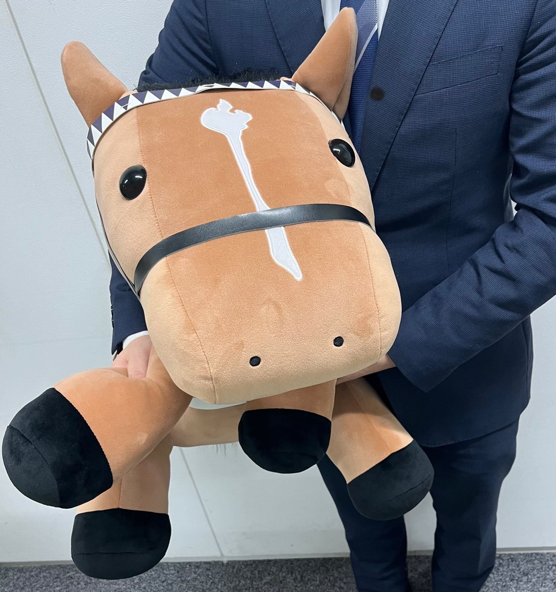 アイドルホース 情報解禁‼ もちもちビッグな大人気シリーズ💞 アイドル