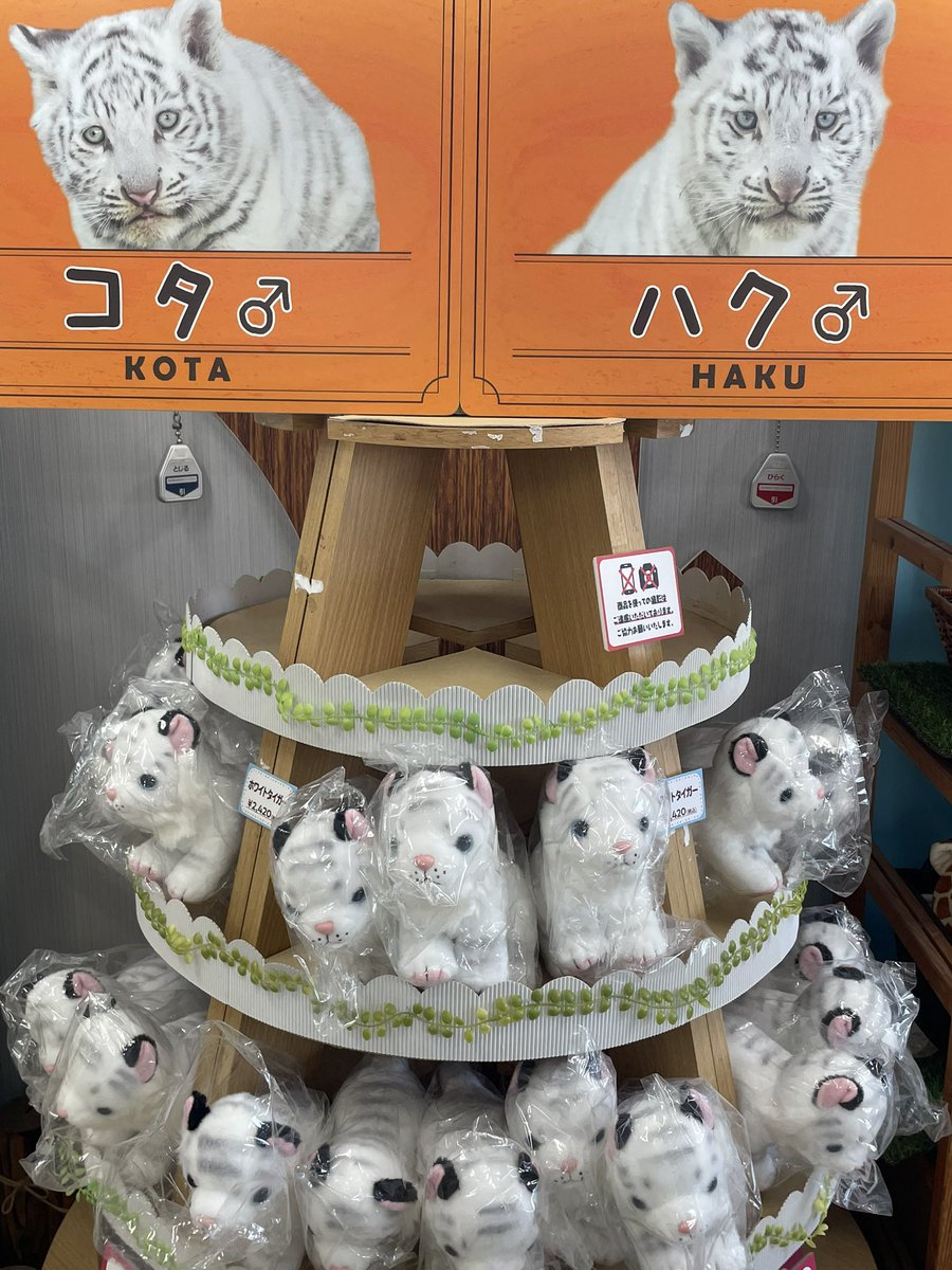 わととからご連絡です！ 売り切れていたホワイトタイガーマスコット