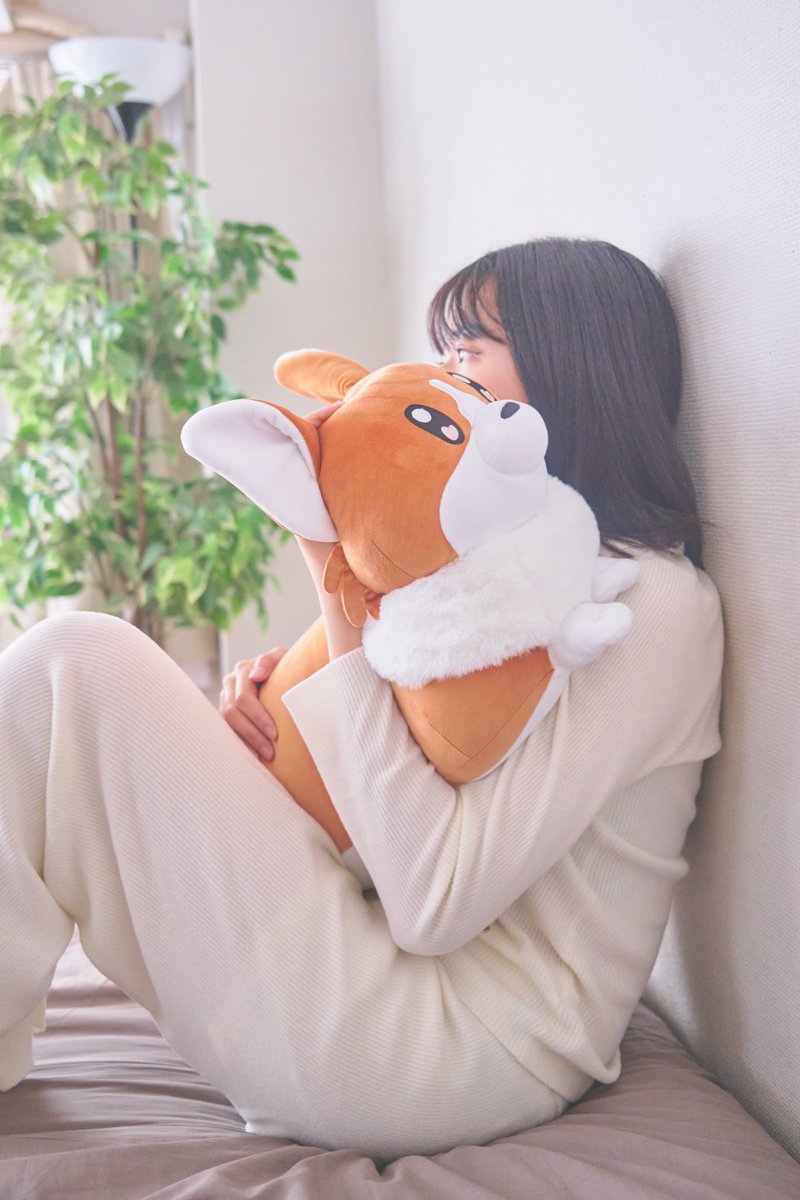 完全受注生産 / 受付中】 suisデザイン コーギーぬいぐるみ