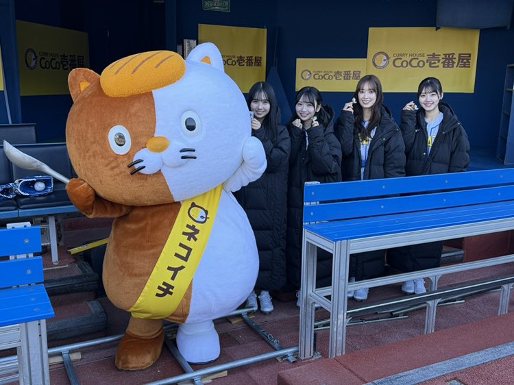 ☀️ #日向坂46 × #ココイチ ☀️ 「行くぞ!!ココイチ de HAPPY