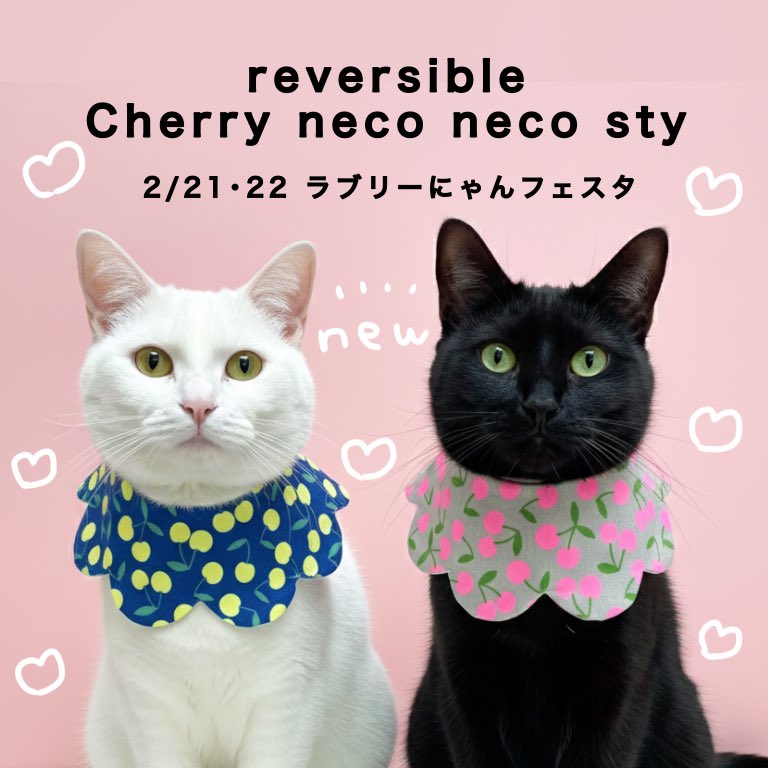 搬入してきました😸❤️❣️ いよいよ明日から ラブリーにゃんフェスタ