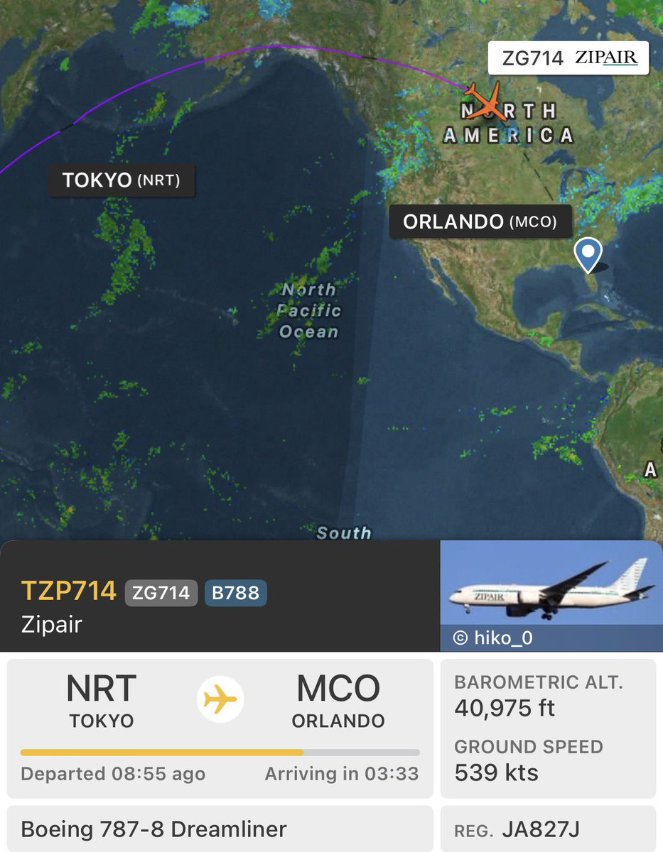 Post by zzgator 🐊 on X: 👀