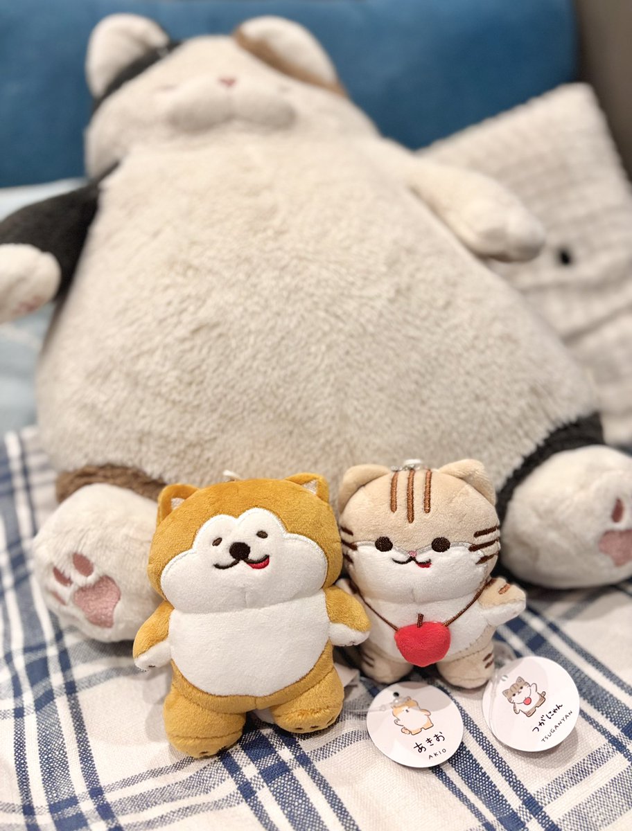 JR秋田支社公式キャラクター🐶🐱 つがにゃんとあきおのぬいぐるみげと