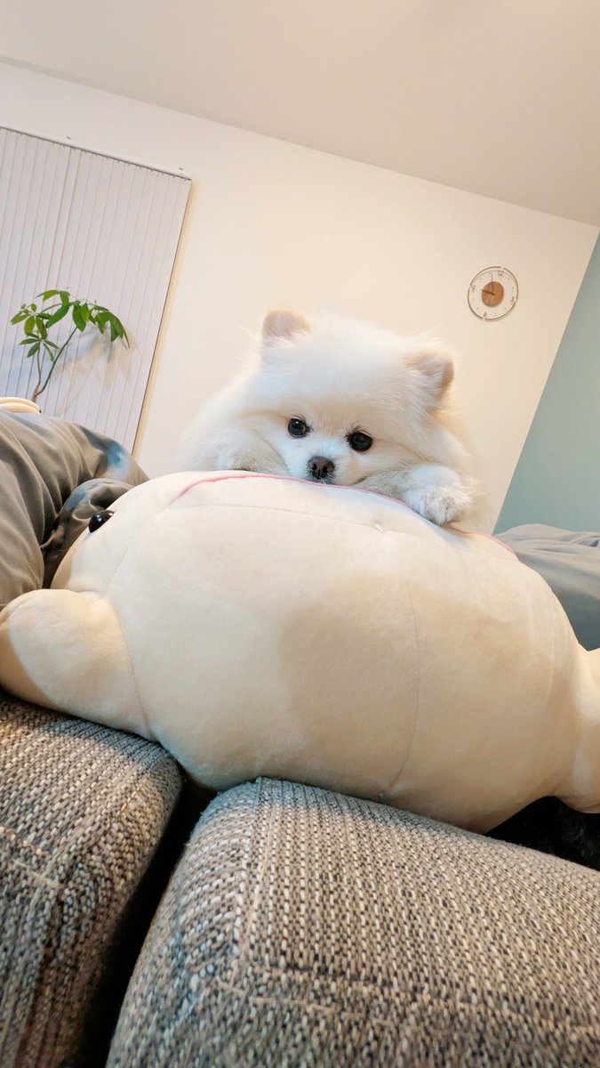 おこめ屋 (@chimaki0328) / Posts / X