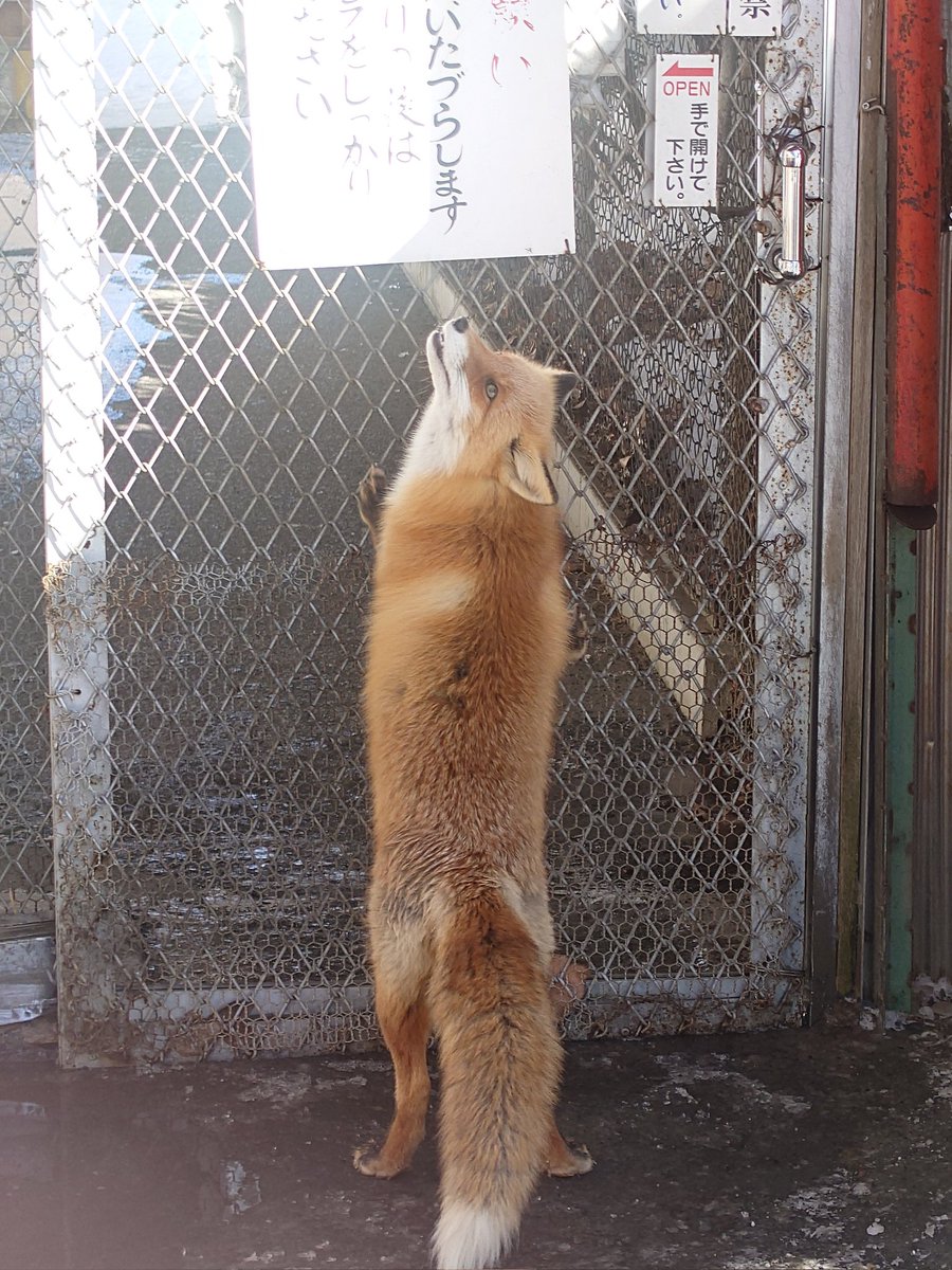 いたづらします！！