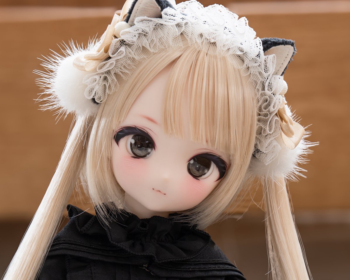 ┈┈┈┈┈┈┈┈┈┈ 🐈‍⬛出品のお知らせ