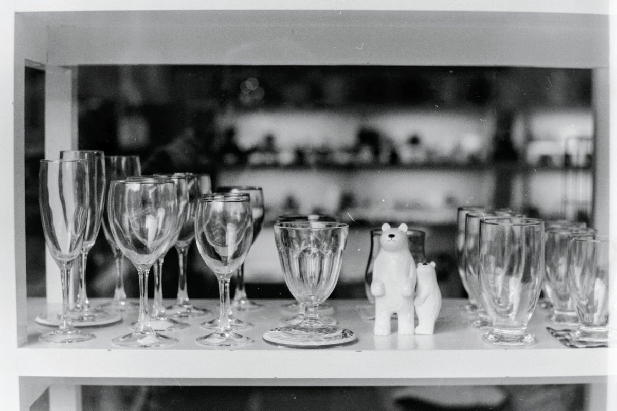 嵐山散歩_4886。 SPD 1:1 20℃ 7分。 #kyoto #arashiyama #フイルム写真