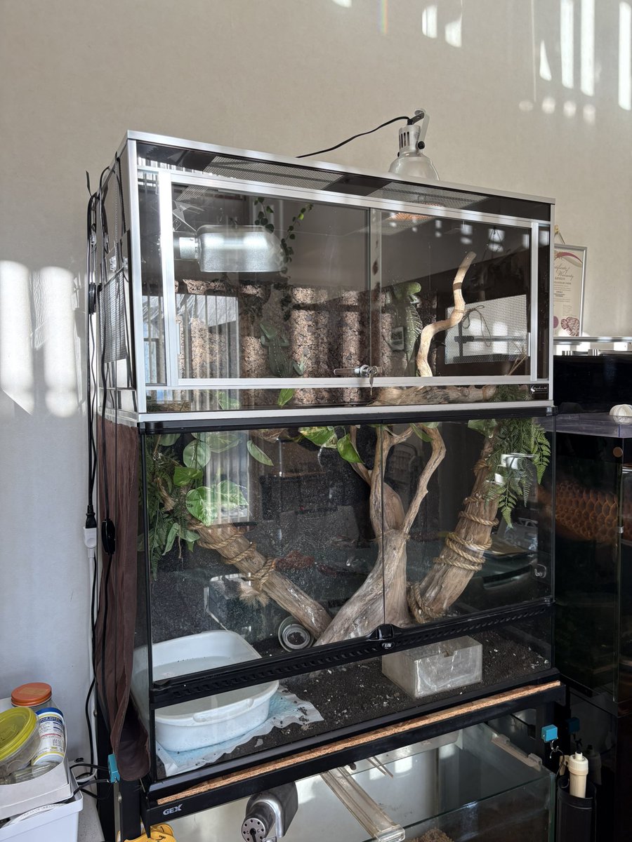 かなり遅くなりましたが 昨年末に配達でのお引渡しのお客様で 今迄にご