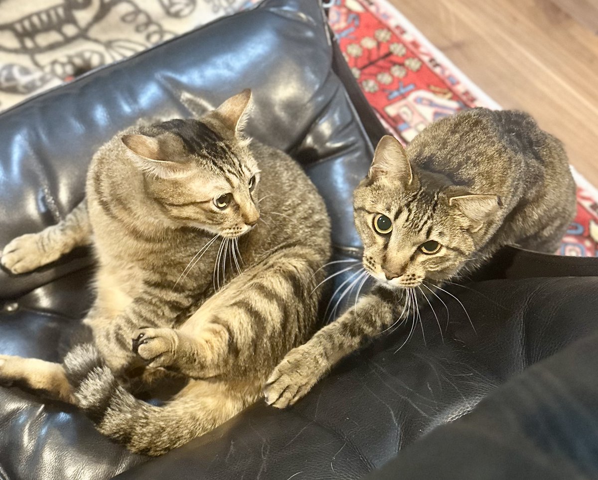 ちょっと失礼しますｯ ｾﾂｺ