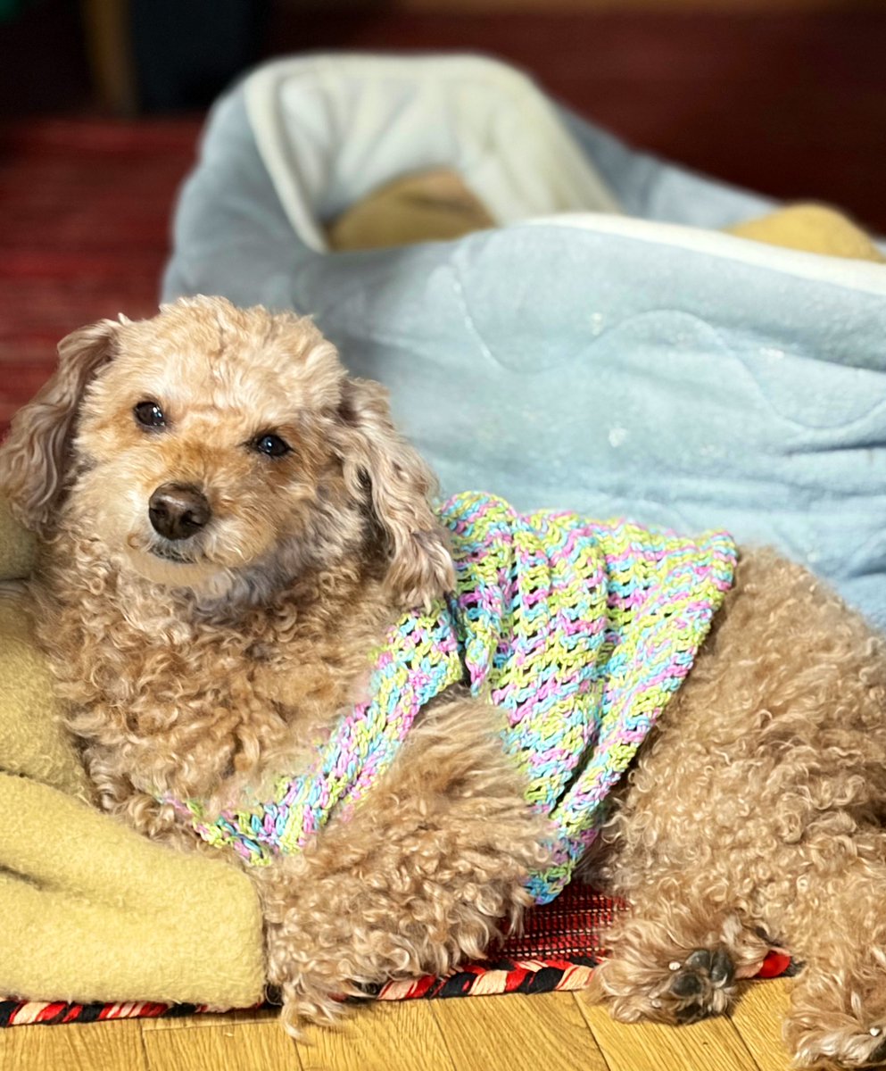 まゆみん𓂃𓂂ꕤ*.ﾟ (@marumaru11751) / Posts / X