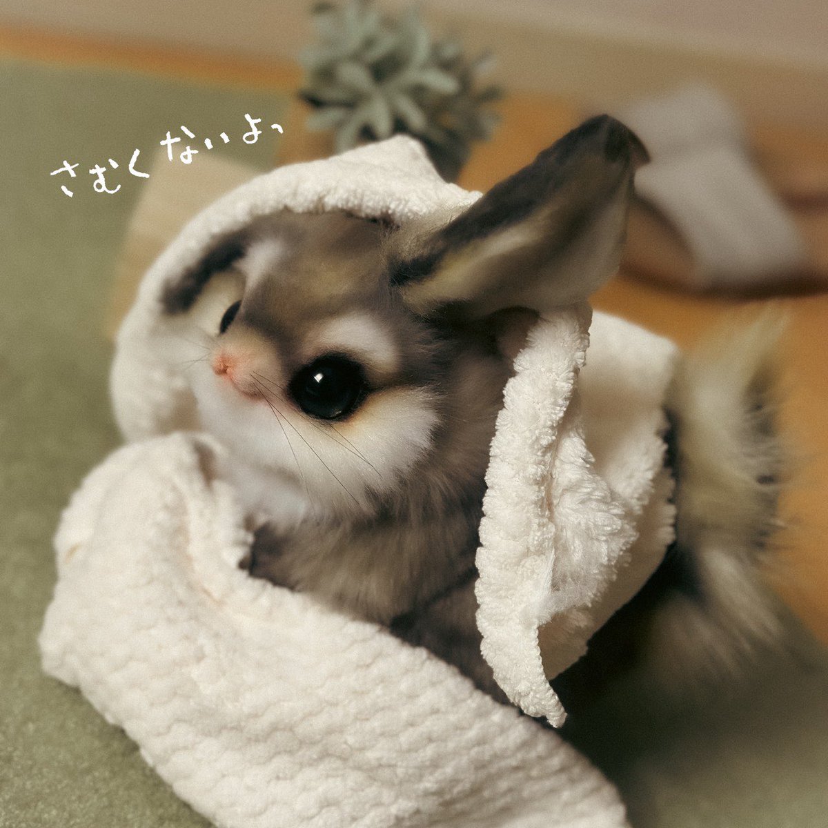 Teritre Doll/テリトルドール (@teritre_doll) / Posts / X