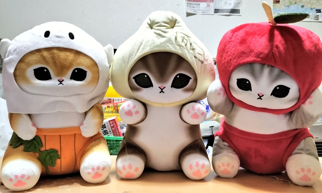 今日は2月22日、キミたちの日だよっ!✨😆👍（笑） #猫の日 #にゃん