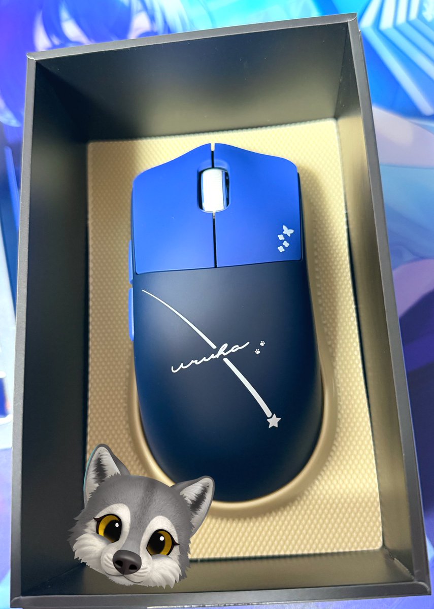 青空（ソラ） (@sora_tobunyan) / Posts / X