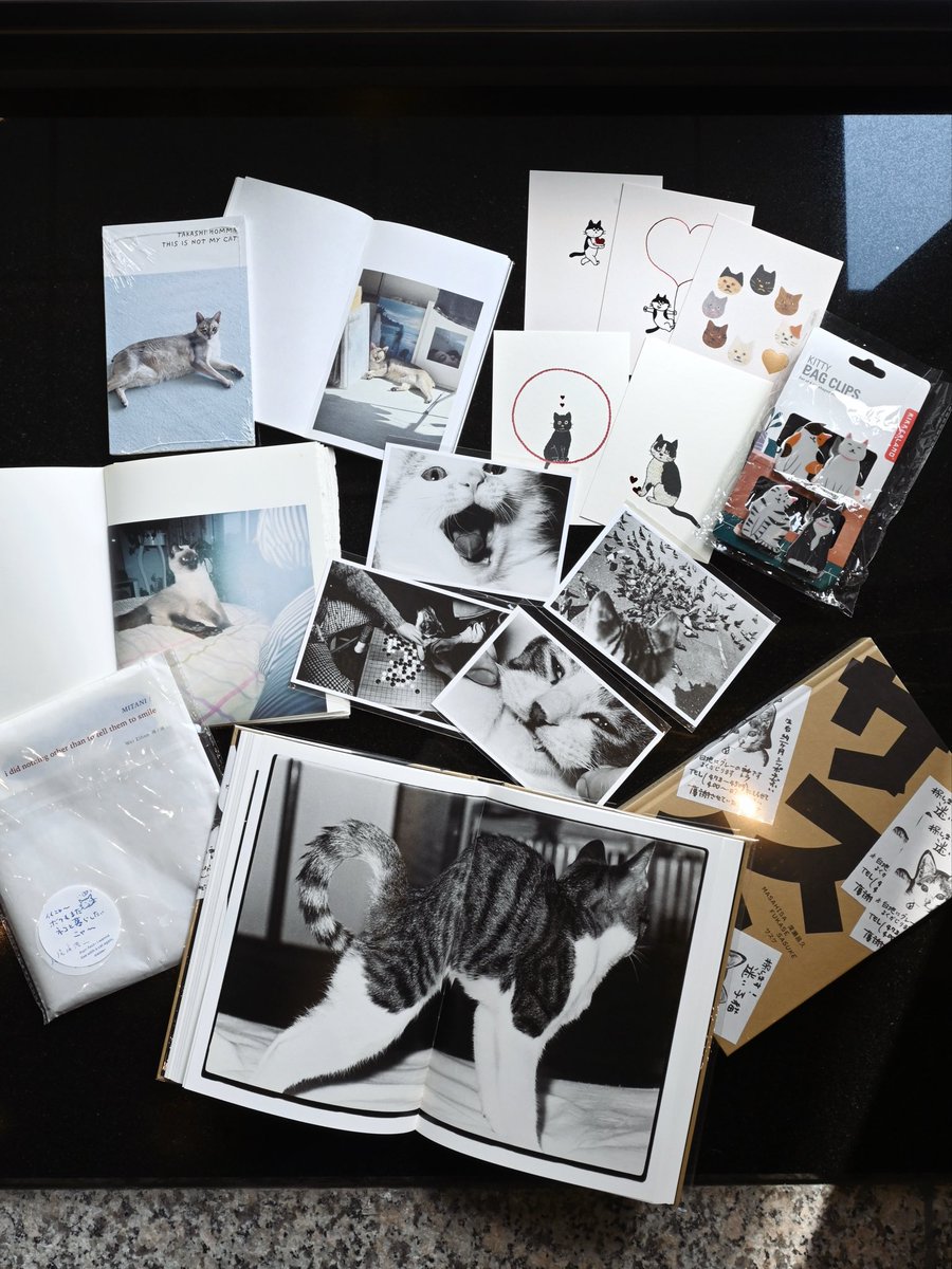 猫の日〉 本日2/22は猫の日🐈 当店でお取り扱いしている商品から、猫