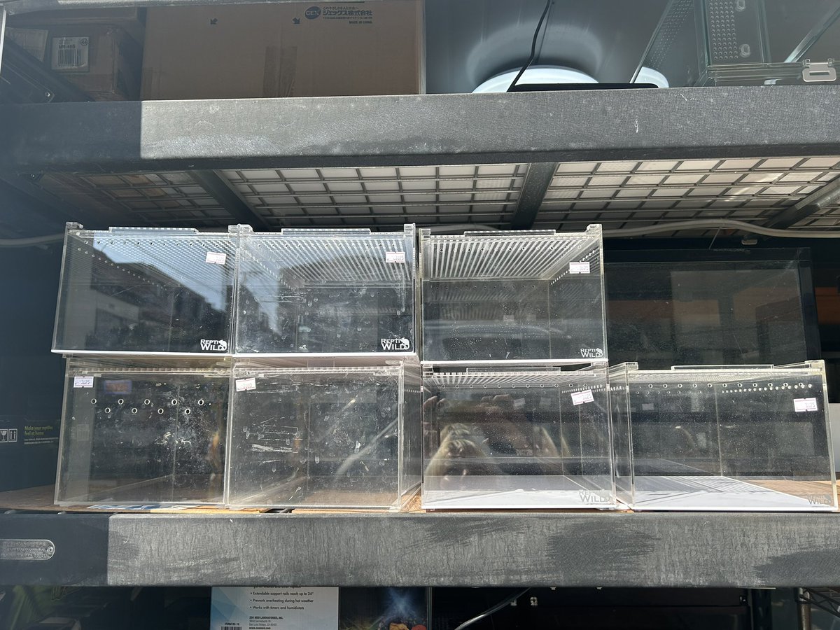 中古用品、レプタイルボックス大量にあります✨ #爬虫類 #ケージ #レプボ