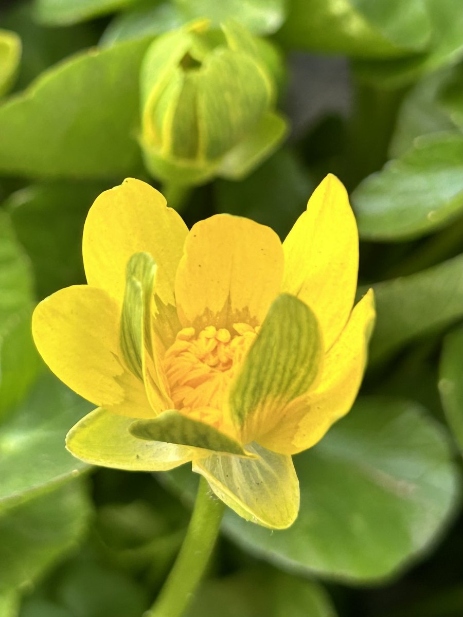 ピース🩵💚 (@momo35peach) / Posts / X