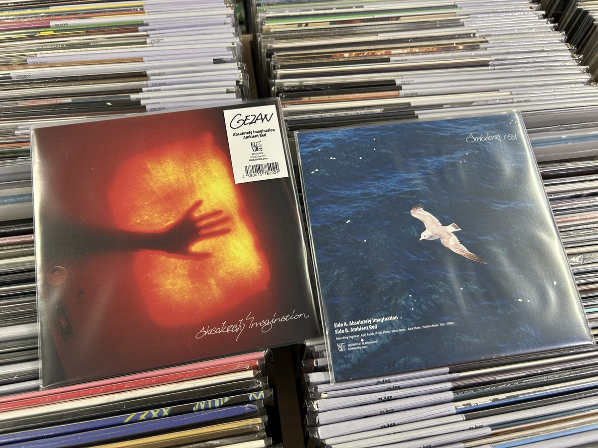 バンドの加速を決定づけた名曲だと思うんです。 武道館へ向けての再