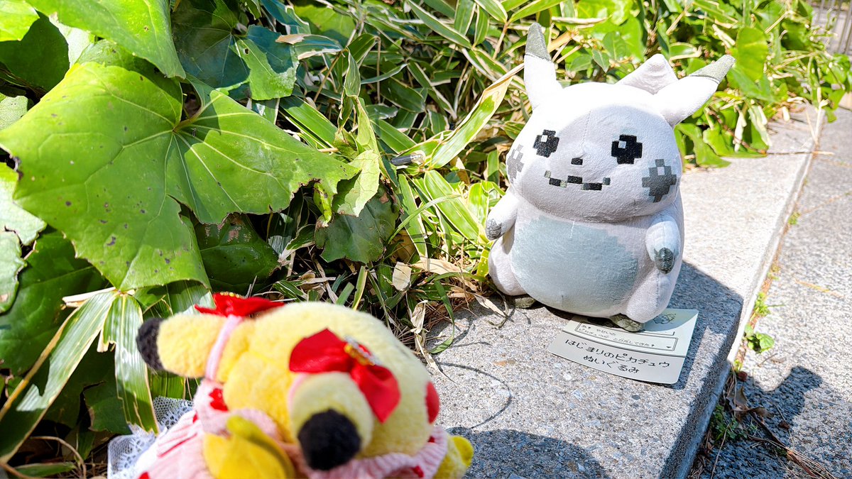 初期ピカチュウϞໂ•·̫•ໃ♥ (@PIKApikaSRP) / Posts / X