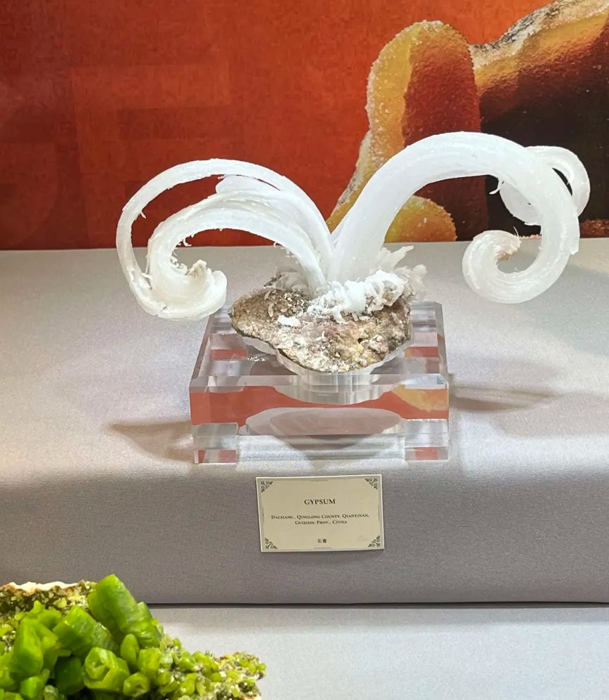 おもちのびる (@omochi_otoca) / Posts / X