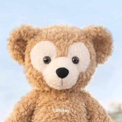 💡ニュース💡 ダッフィー＆フレンズ20周年記念！ 「gelato pique