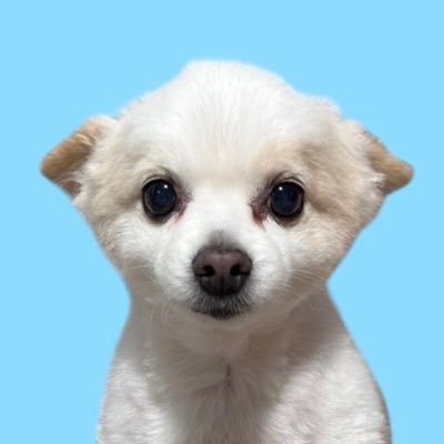 Ri☺︎na (@zx66666666r) / Posts / X