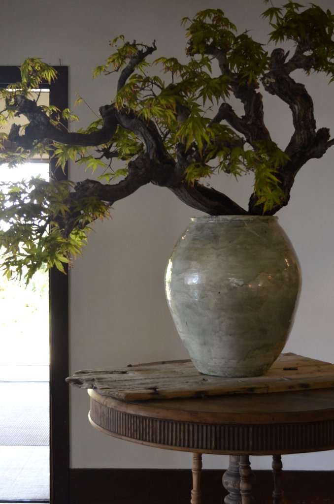 小野哲平 －その造形－」 壺と花 : うつわノート