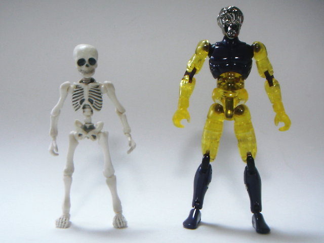 ポーズスケルトン レビュー : 遊慈のEasy Life