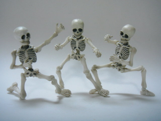 ポーズスケルトン レビュー : 遊慈のEasy Life