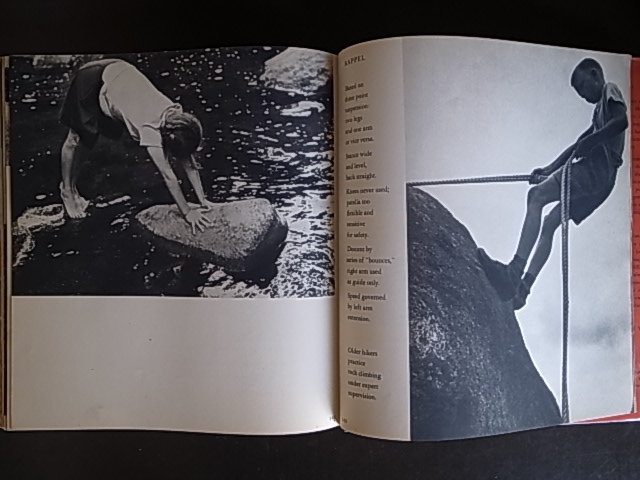 SUMMER'S CHILDREN / Barbara Morgan : Books & Things