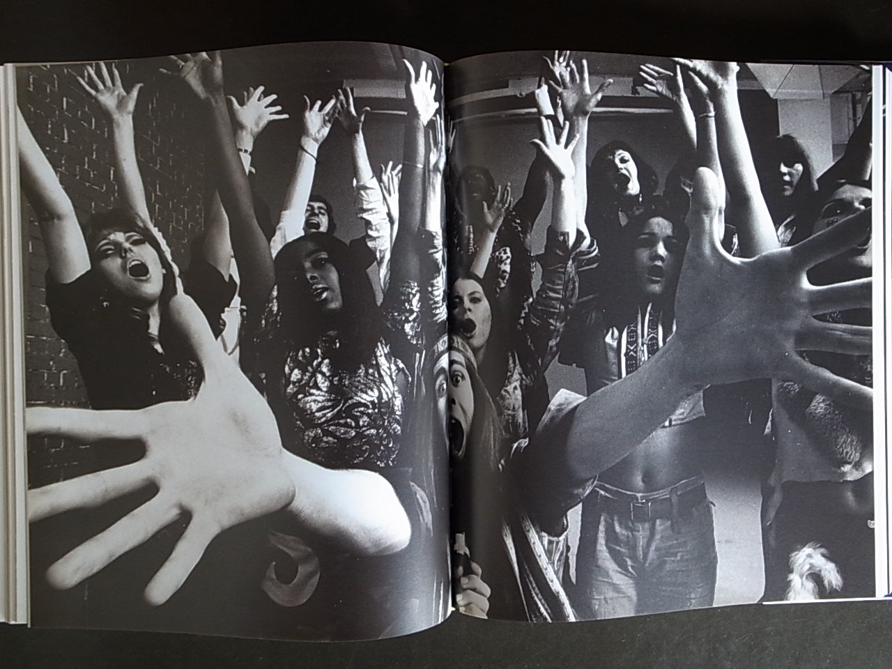 I, WILL McBRIDE / Will McBride : Books & Things