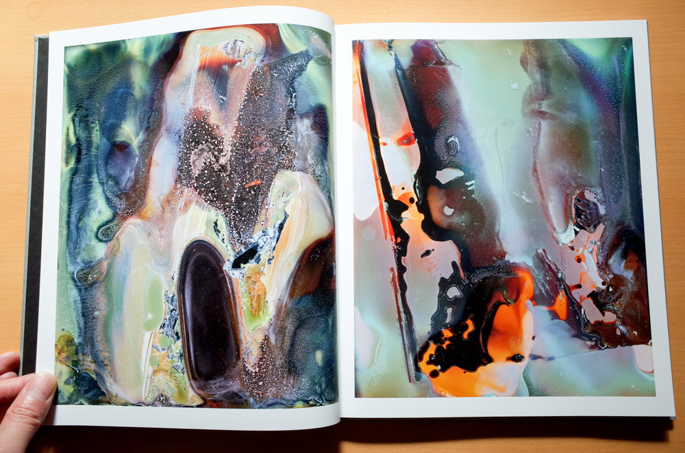 横田大輔 Daisuke Yokota 「Color Photographs」 : roshinbooks.blog
